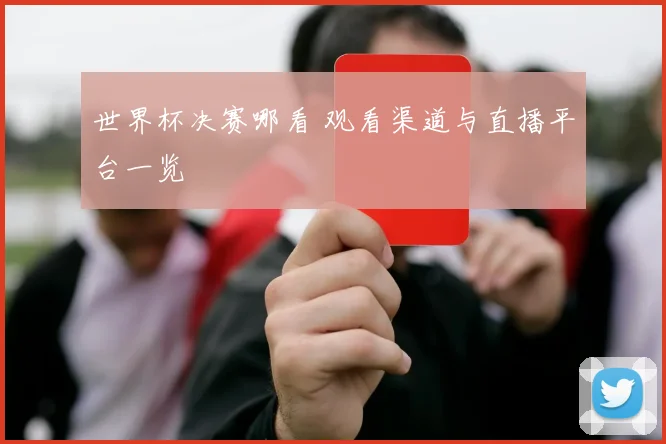 世界杯决赛哪看 观看渠道与直播平台一览