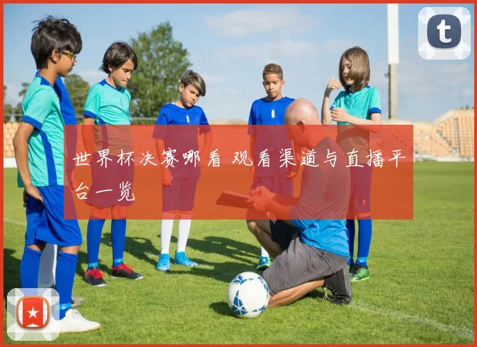 世界杯决赛哪看 观看渠道与直播平台一览